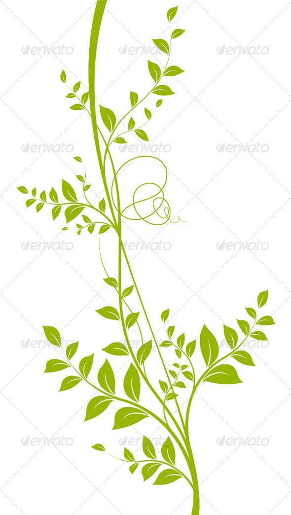 Green Vector Liana Over White - Plant Silhouette - Flowers & Plants Nature