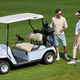 Elegant couple standing by golf cart on green field and chatting in sunlight - PhotoDune Item for Sale