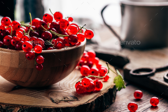 Fresh picked red currants - Stock Photo - Images
