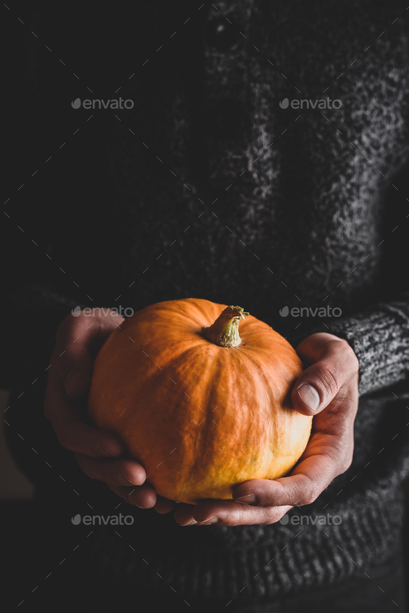 Man holding small pumpkin in hands - Stock Photo - Images