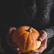 Man holding small pumpkin in hands - PhotoDune Item for Sale