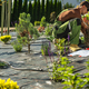 Gardening Contractor Building Drip Irrigation System in Backyard Garden - PhotoDune Item for Sale