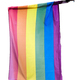 Isolated Pride Flag - PhotoDune Item for Sale
