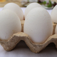 White eggs - PhotoDune Item for Sale
