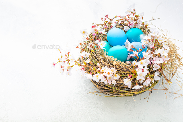 Happy Easter - nest with Easter eggs and cherry branch on white background with copy space - Stock Photo - Images