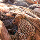 Fishing nets on Marina Corricella on Procida Island, Bay of Naples, Italy. - PhotoDune Item for Sale