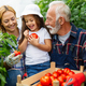 Grandfather growing organic vegetables with family at bio farm. People healthy food concept - PhotoDune Item for Sale