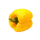 yellow pepper isolated on the white background - PhotoDune Item for Sale