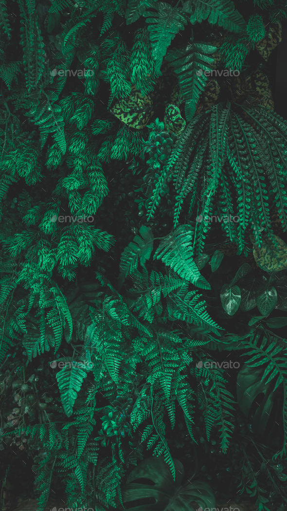 Green leaf background. Herb wall, plant wall, natural green wallpaper