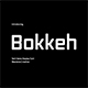 Bokkeh Tech Sans Display Font