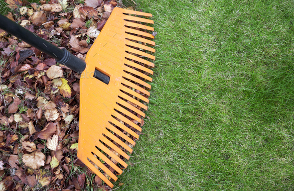 Rake and leaves in autumn with copy space - Stock Photo - Images