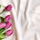 Colorful tulips on linen fabric. Pink, magenta, fuchsia tulips on coton of champagne color. - PhotoDune Item for Sale