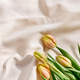 Colorful tulips on linen fabric. Yellow tulips on wrinkled coton of champagne color. - PhotoDune Item for Sale