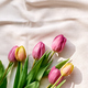 Colorful tulips on linen fabric. Yellow, pink, magenta, fuchsia tulips on coton of champagne color. - PhotoDune Item for Sale
