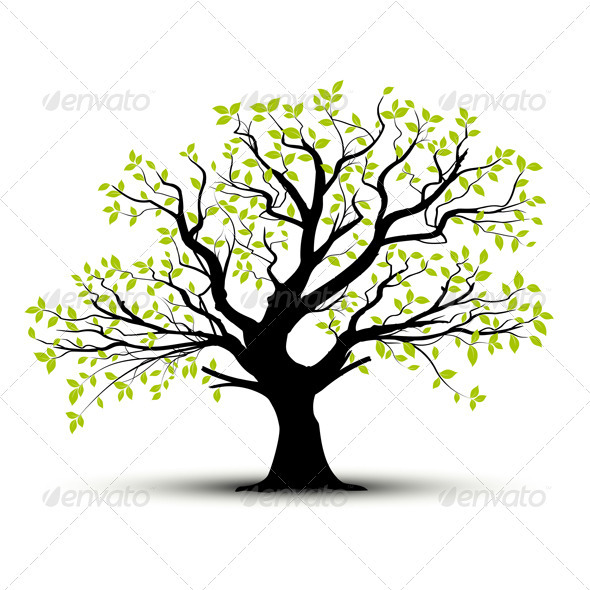 Vector Tree in Spring, Green Foliage - Nature Conceptual