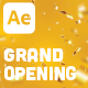 Grand Opening Banner - VideoHive Item for Sale
