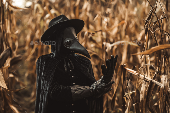 Plague doctor gothic woman standing in thickets of corn. Raven mask halloween