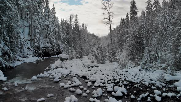 slow rise winter forest creek alt