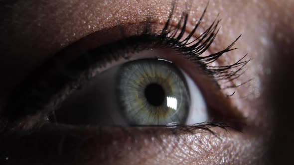 Extreme Closeup View of Woman's Opening Beautiful Eye with Green Iris in Dark