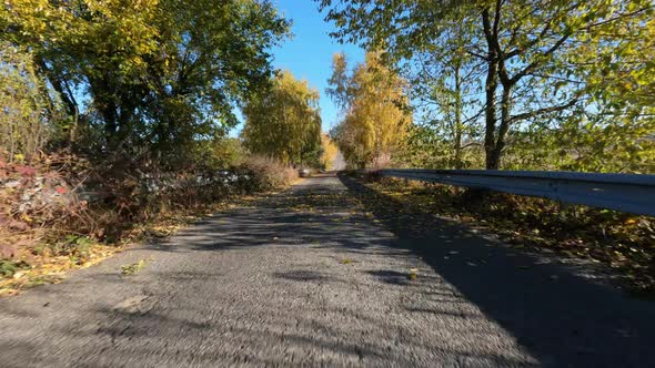 POV view of fall landscape from car