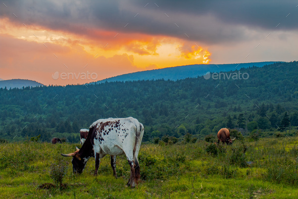 Sunset at Grayson Highlands - Stock Photo - Images