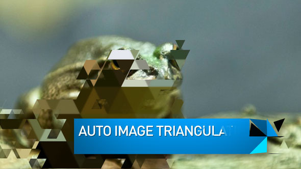 Triangulate Slideshow - VideoHive 3681335