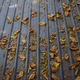 The fall leaves on the metal roof - PhotoDune Item for Sale