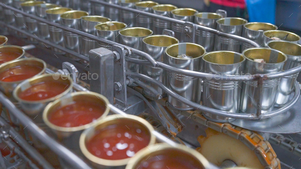 Canned fish factory. Food industry. Many can of sardines on a conveyor belt. Sardines in red tomato