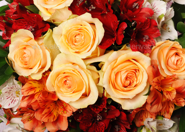 Beautiful bouquet - Stock Photo - Images