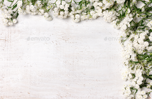 Beautiful floral frame - Stock Photo - Images