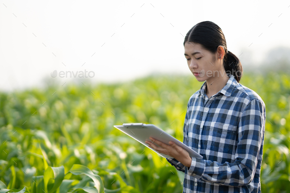 Female farmer using tablet at close range to collect data at the crop fields. Modern Agriculture con