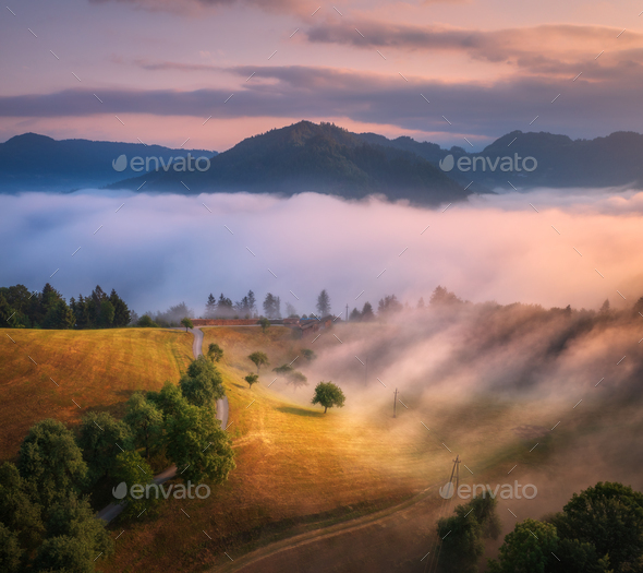 Aerial view of tree on alpine meadow, mountains in pink low cloud - Stock Photo - Images