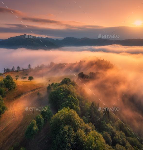 Aerial view of forest, alpine meadows and mountains in low clouds - Stock Photo - Images