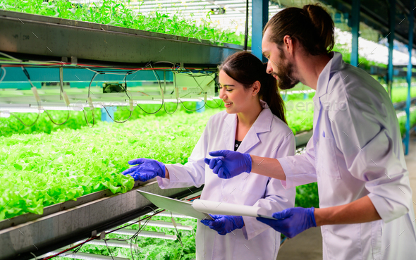 Scientists farmer checking and working together at greenhouse ...