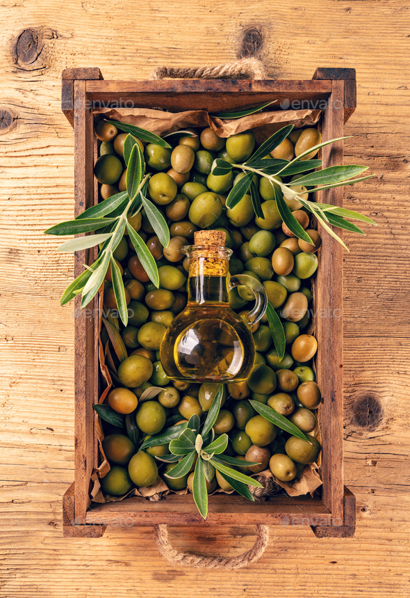 Fresh olive crop - Stock Photo - Images