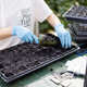 Young gardener planting flowers into seedling trays - PhotoDune Item for Sale