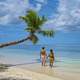 Mahe Seychelles, tropical beach with palm trees blue ocean at Mahe Seychelles Anse Royale beach - PhotoDune Item for Sale