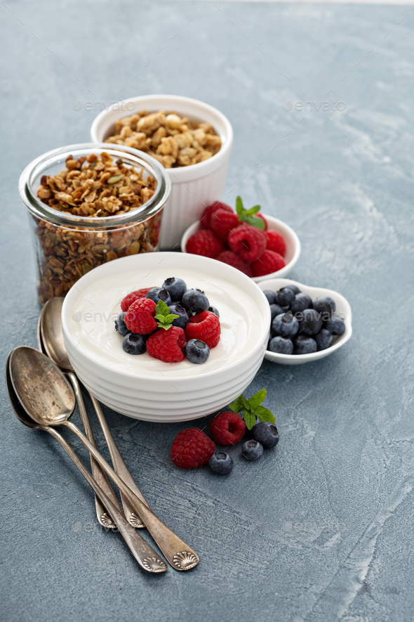 Healthy Greek yogurt bowl with berry Stock Photo by fahrwasser PhotoDune