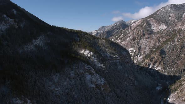 Flying up and over forest in canyon alt