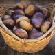 Roasted sweet chestnuts in a basket - PhotoDune Item for Sale