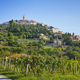 The village of Trevi at the top of the hill and a vineyard. Umbria, Italy. - PhotoDune Item for Sale