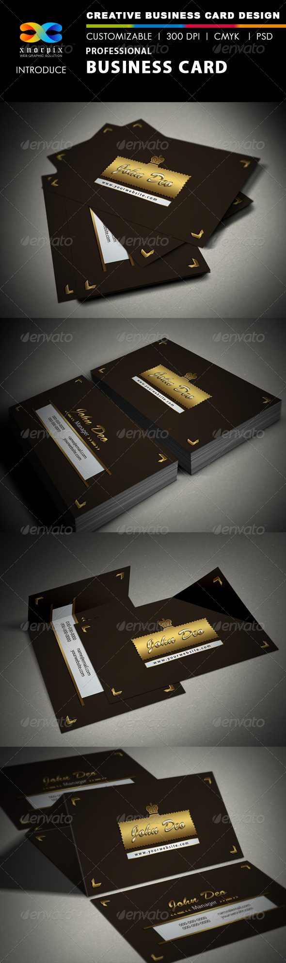 Professional Business Card