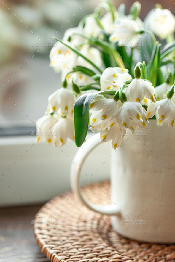 Spring composition with snowdrops in a cup, close-up. - Stock Photo - Images