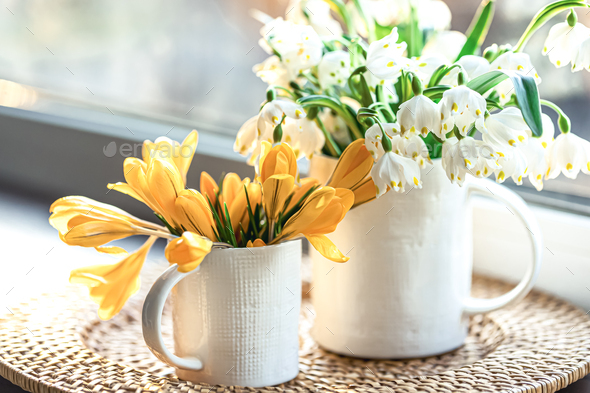 Spring composition with snowdrops and crocuses, close up. - Stock Photo - Images
