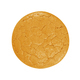 A Single Cookie - PhotoDune Item for Sale