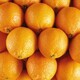 fresh oranges background - PhotoDune Item for Sale
