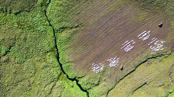 Stream Flowing From Croaghacullion to An Port Between Ardara and Glencolumbkille in County Donegal alt