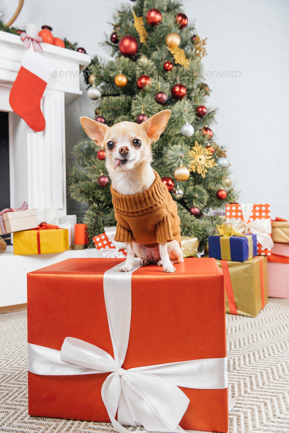 Christmas Present Dog Sweater