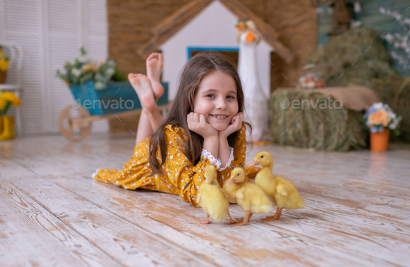 funny ducklings - Stock Photo - Images