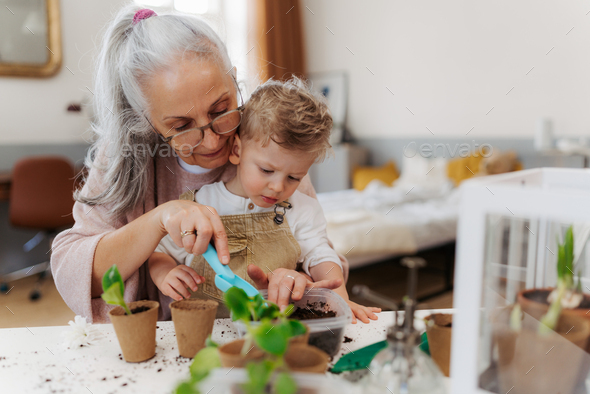 Grandmother with her grandson planting vegetables and flowers. - Stock Photo - Images